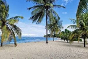 Marquis Vacations LLC