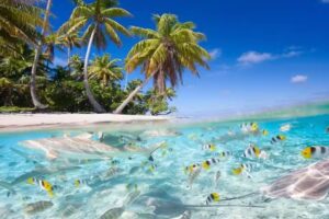 Martens Advantage Tourism and Travel