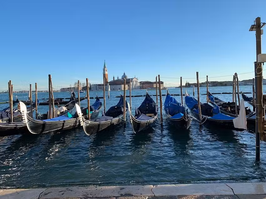 Maru’s Travel – Experts In Trips Around The World.