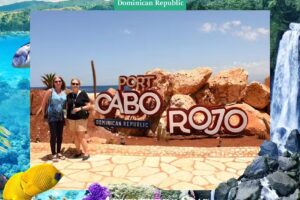 Mary Walsh Dream Vacations