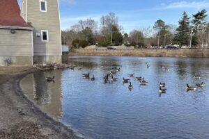 Maryland’s Wicomico County Welcome Center