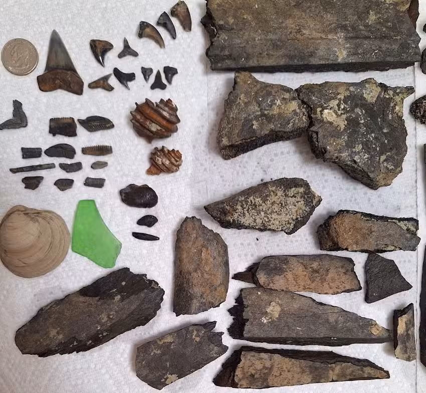 Matoaka Beach Cabins