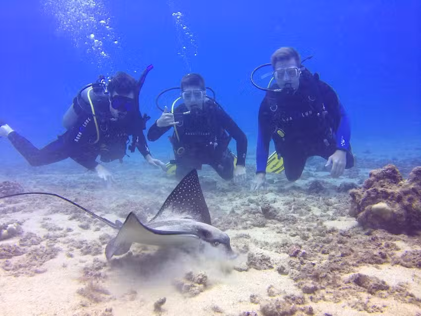 Maui Diving- Scuba & Snorkel Center