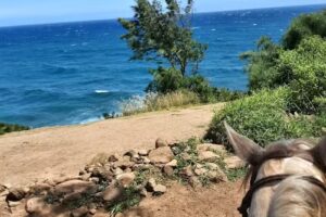 Maui Mountain Activities