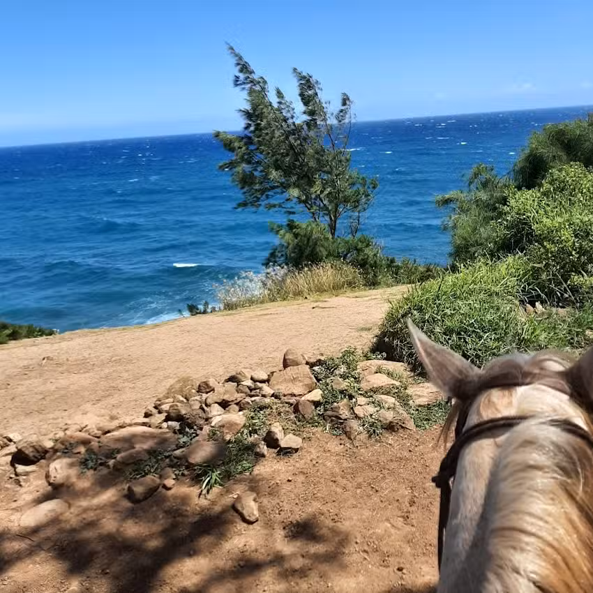 Maui Mountain Activities