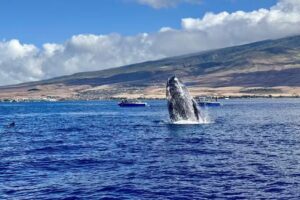 Maui Ocean Adventures