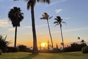 Maui Paradise Properties LLC