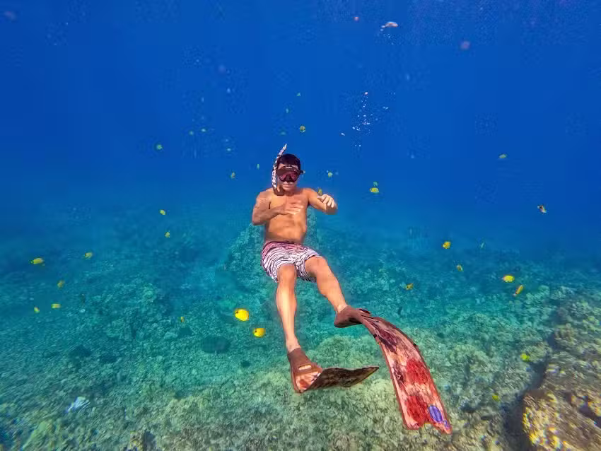 Maui Reef Adventures