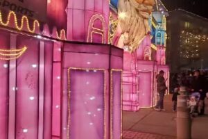 McAllen Convention & Visitors Bureau