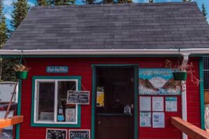 McCarthy River Tours