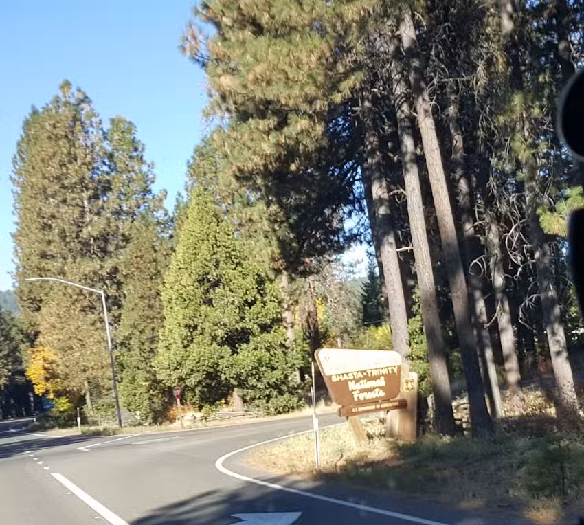 McCloud Ranger Station