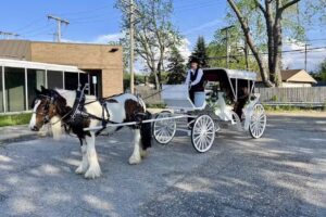 Meadowbrooke Carriage Company