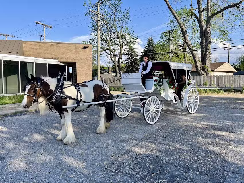 Meadowbrooke Carriage Company