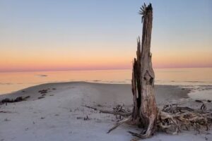 Mel’s Dream Vacation LLC