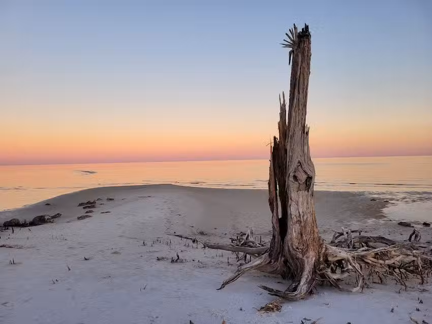 Mel’s Dream Vacation LLC