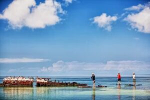 Mellow Ventures Key West