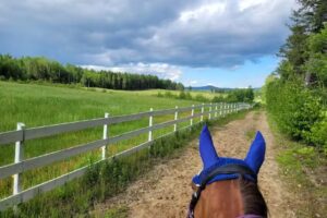 Memory Lane Vacations