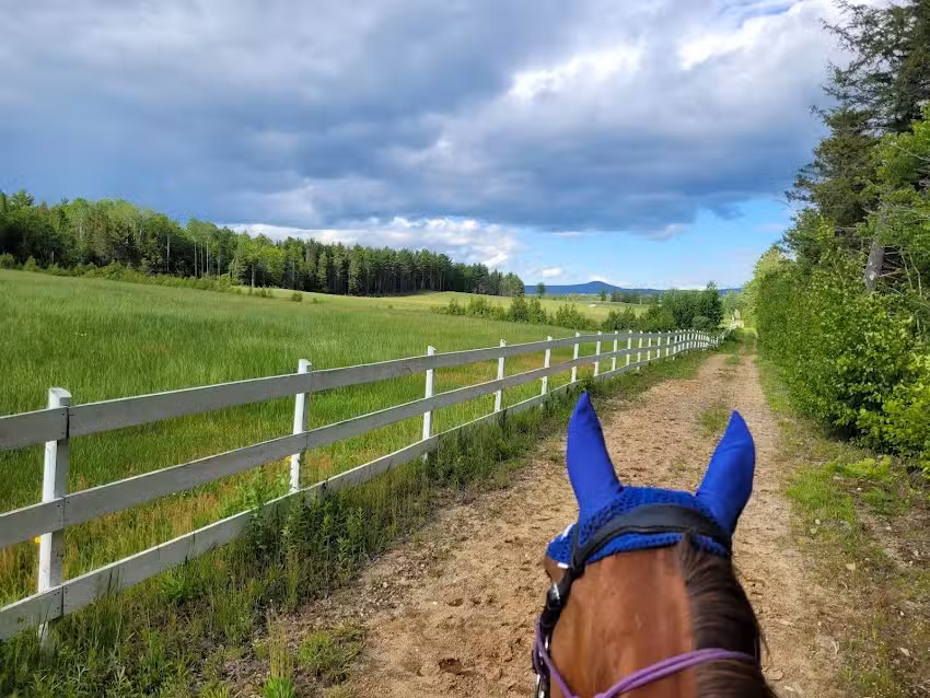 Memory Lane Vacations