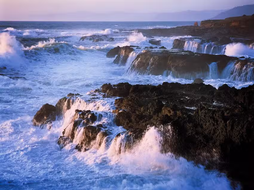 Mendocino Coast Chamber of Commerce & Visitor Center