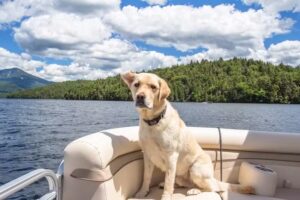 Merrill L. Thomas Adirondack Vacation Rentals