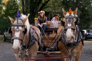 Merry-Go-Round Carriage Rides, LLC