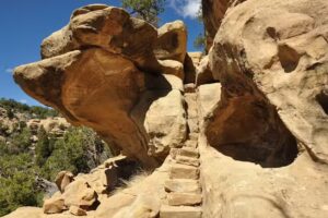 Mesa Verde Tours