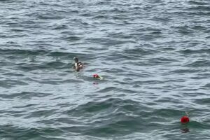 Metamorphosis Boat Charters