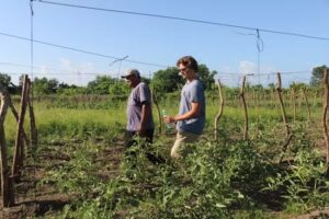 Metanoia International