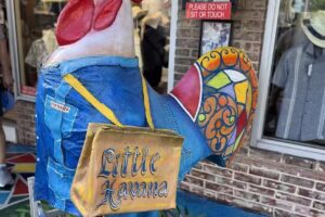 Miami Culinary Tours