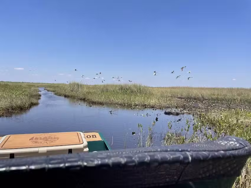 Miami Everglades Connection Airboat Tours