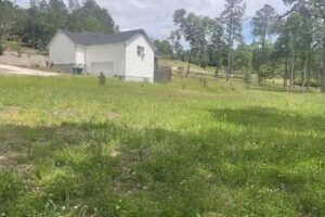 Michelle Couvillon – Cupcake Castles Travel Company, LLC