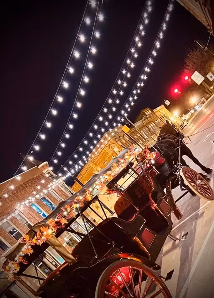 Michigan Historical Tours Llc