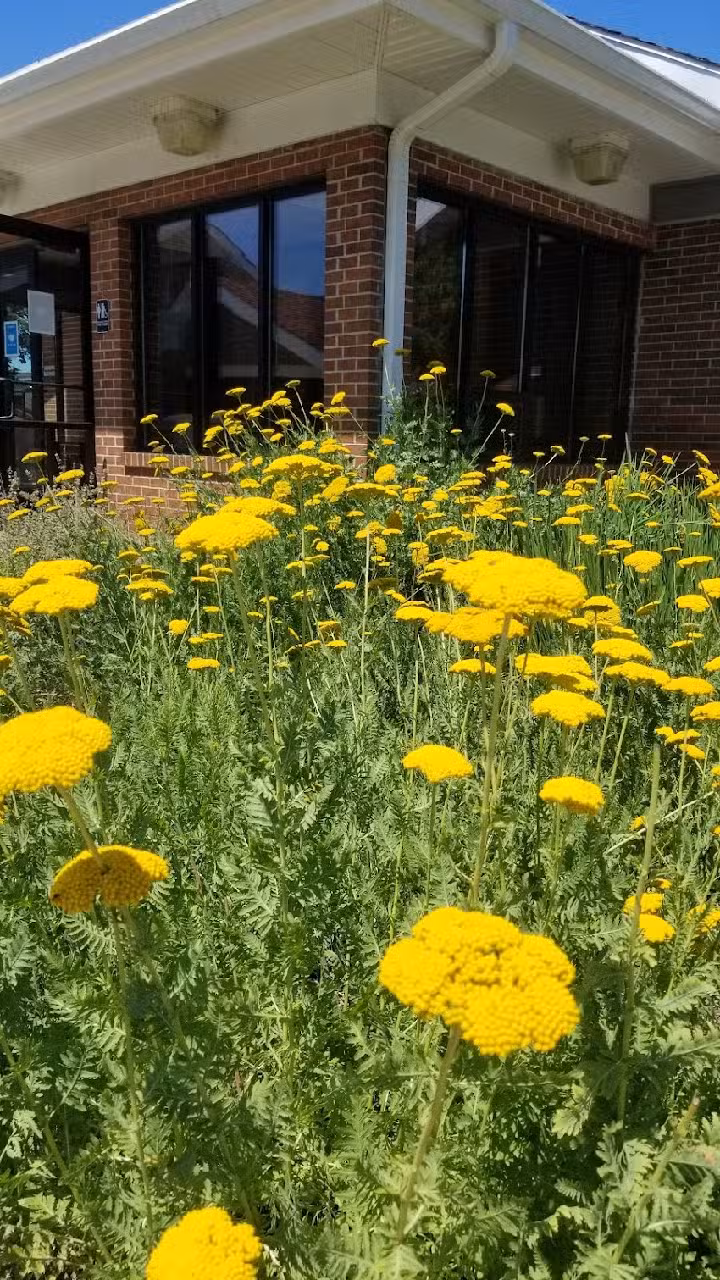 Michigan Welcome Center