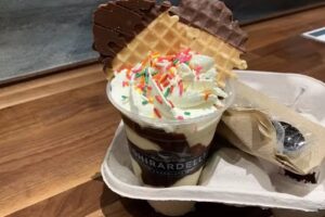 Mickey’s Destination