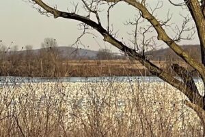 Middle Creek Wildlife Management Area
