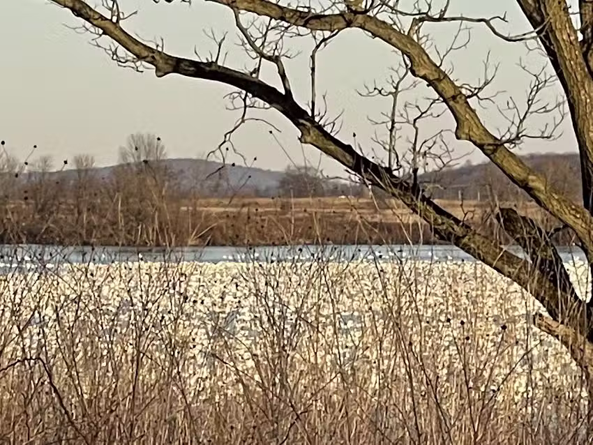 Middle Creek Wildlife Management Area