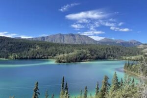 Midnight Sun Excursions