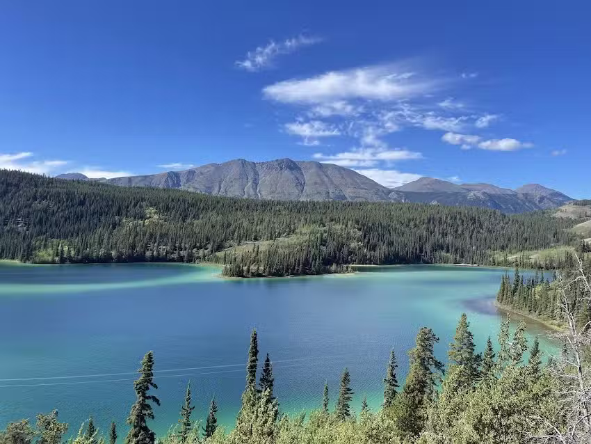 Midnight Sun Excursions