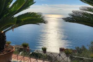 Mike Fletcher Travel LLC