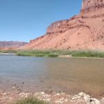 Mild to Wild Rafting & Jeep Tours