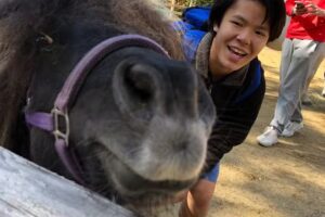 Mill Circle Equestrian Center Inc.