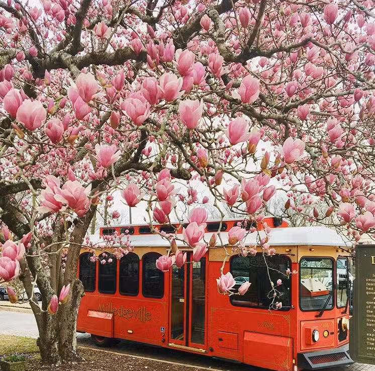 Milledgeville-Baldwin County Convention & Visitors Bureau