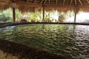 Millennial Group Travels