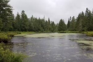 Millinocket Contact Station