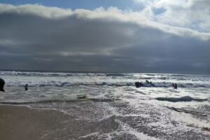 Mission Beach Retreat