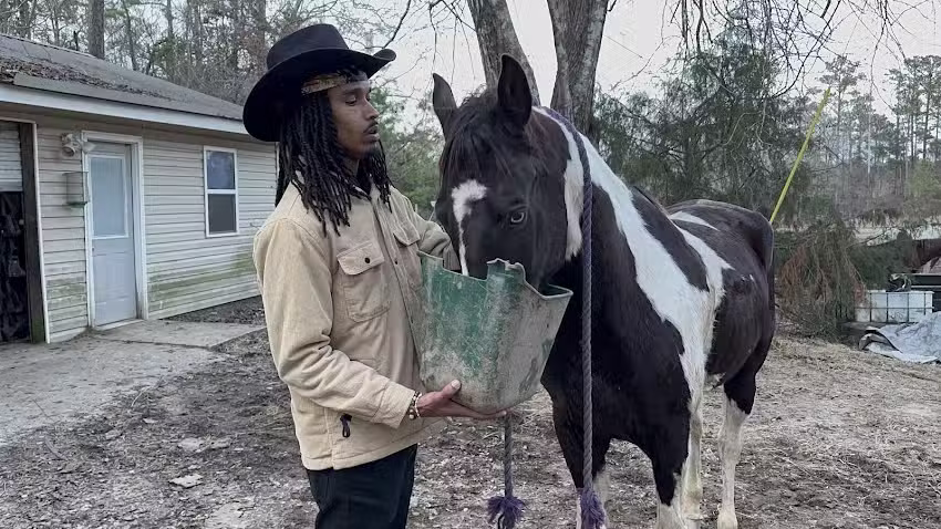 Mo’s Carriages and Trail Rides