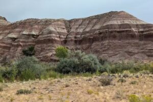 Moab Express Scenic Tours