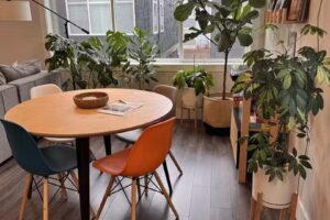 Modern Missoula Vacation Rental – Stylish Live Work Play