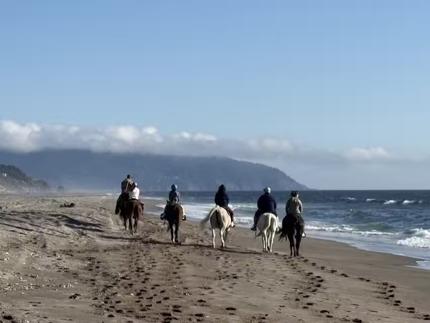 moes beach and trail rides