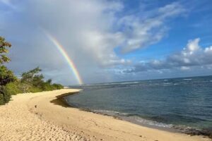 Mokulē’ia Beach Houses at Owen’s Retreat